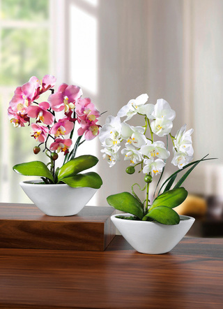 Orchideeën in keramieken schaal, set van 2