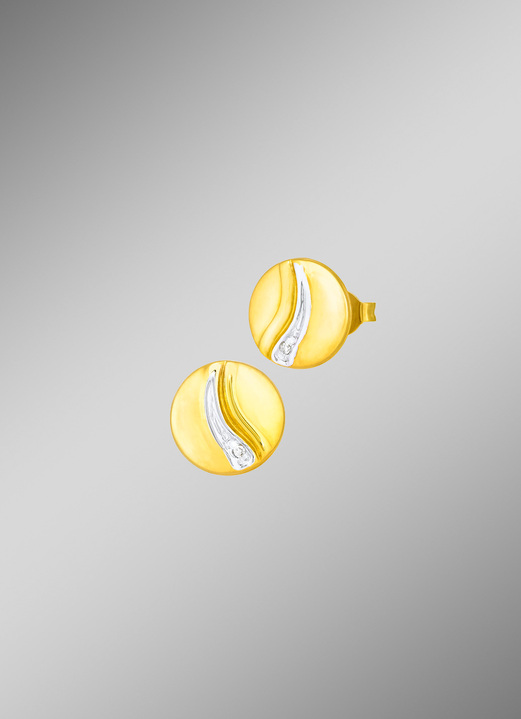 Oorbellen - Chique oorbellen in bicolor met 2 diamanten, in Farbe  Ansicht 1