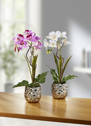 Orchideeënbloemstuk in keramieken pot