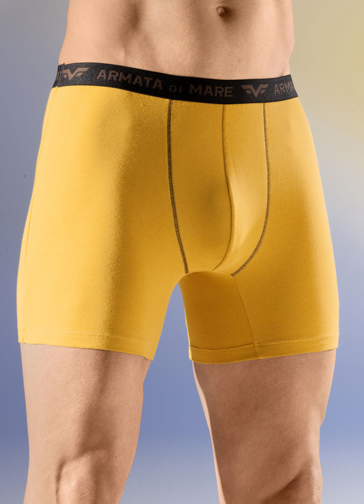 Pants & boxershorts - Set van vier broeken met elastische tailleband, in Größe 004 bis 011, in Farbe 2X OKER, 2X BRUIN Ansicht 1