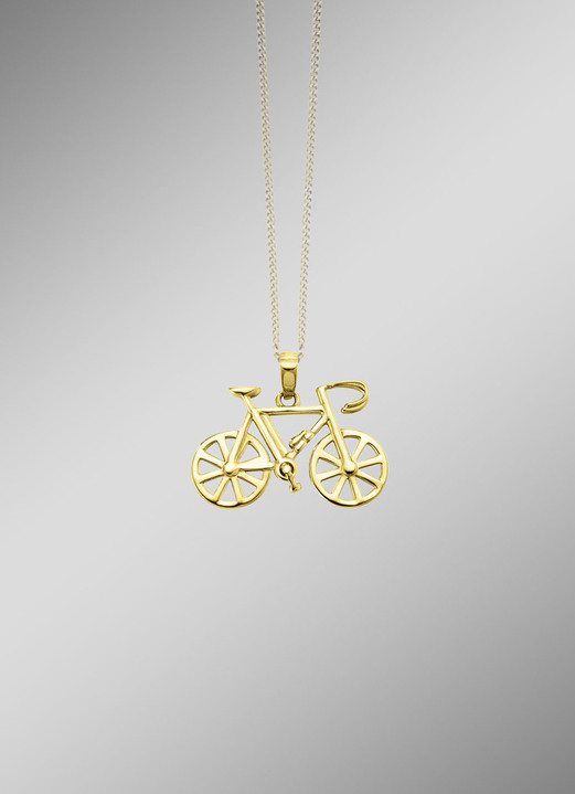Hangers - Gouden fietshanger, in Farbe  Ansicht 1