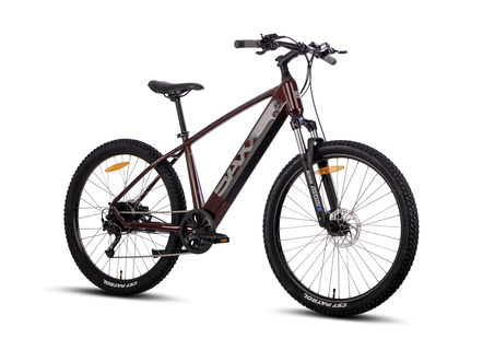 E-Mountainbike