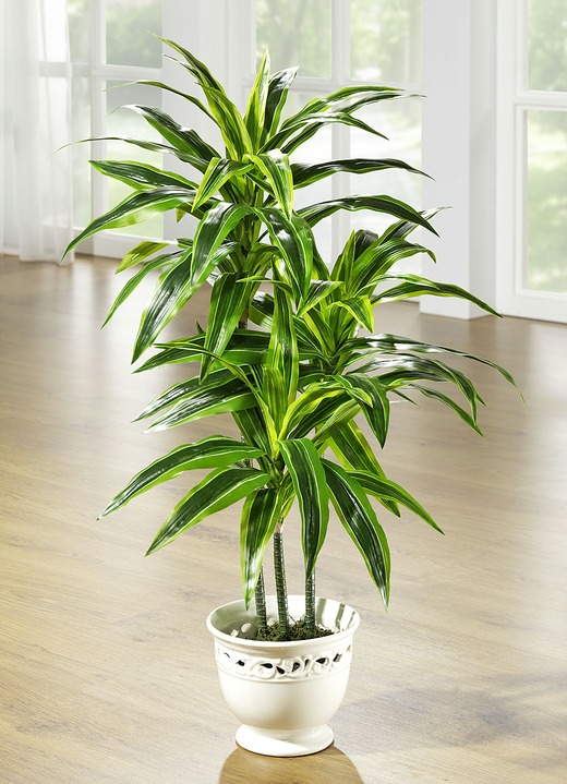 Kunst- & textielplanten - Dracaena palm in pot, in Farbe GROEN, in Ausführung klein