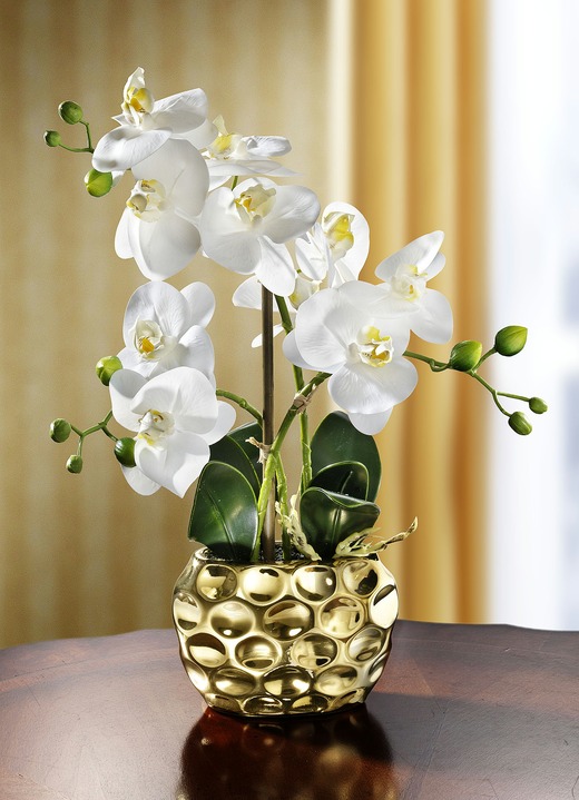 Orchidee in - Kunst- & textielplanten |