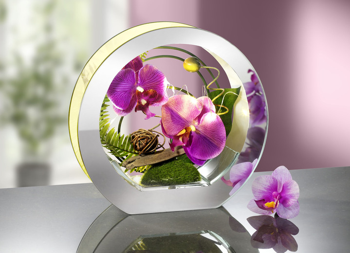 Verlichte orchidee het glas - Kunst- & textielplanten | BADER