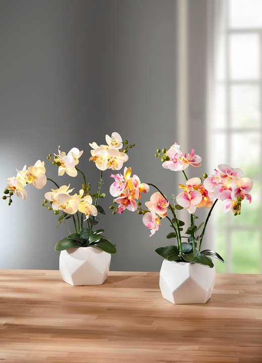 Kunst- & textielplanten - Verlichte orchidee in pot, in Farbe WIT